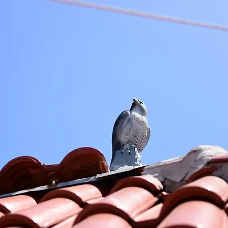 валена град 3* Tjernomorets