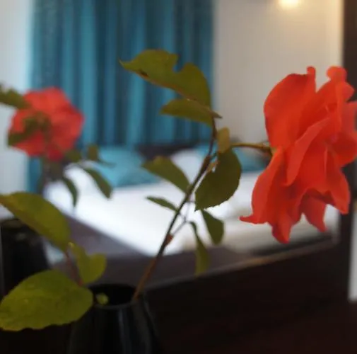 валена град 게스트하우스 체르노모레츠