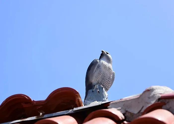 валена град 3* 체르노모레츠