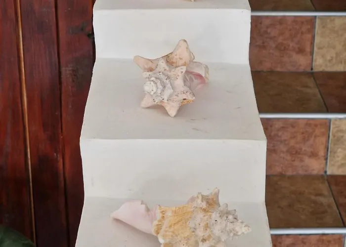 валена град 게스트하우스 3*